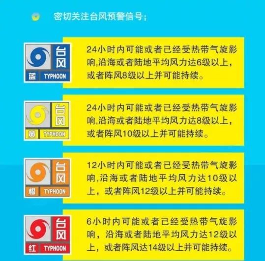 2024新奥资料免费精准051,新奥资料免费精准获取指南（关键词，新奥资料、免费、精准、获取方法）