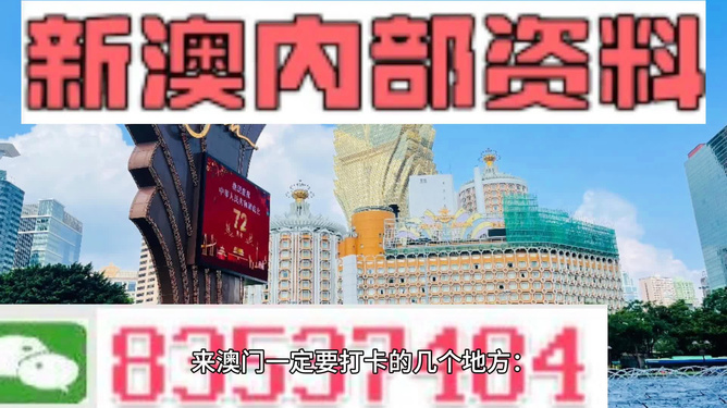 二四六港澳资料免费大全,二四六港澳资料免费大全，深度探索与理解