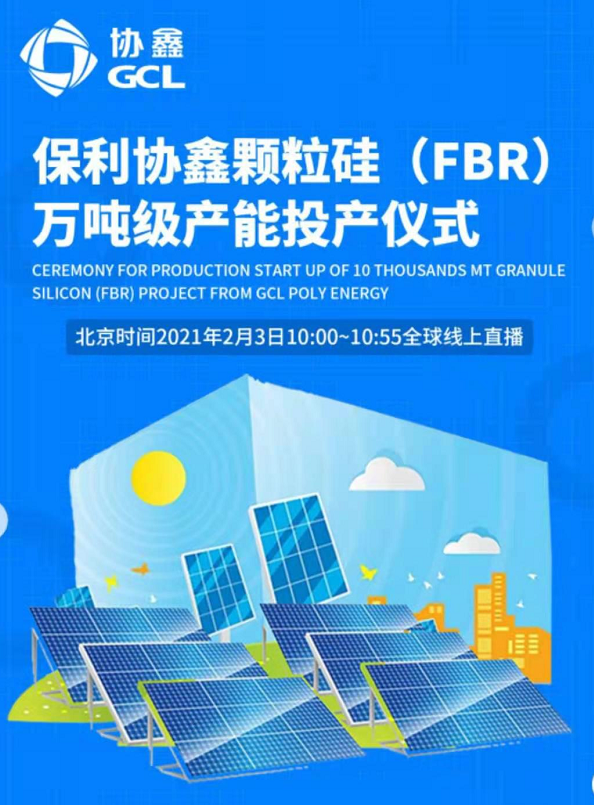 2024王中王资料大全公开,揭秘王中王，2024年资料大全公开