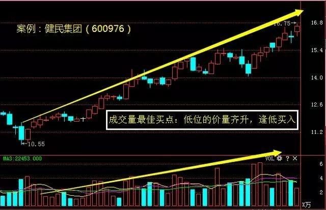 香港今晚开特马+开奖结果66期,香港今晚开特马，探寻第66期开奖结果背后的秘密