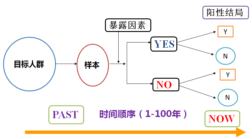 正版资料免费资料大全十点半,正版资料与免费资料大全，探索与利用的最佳时刻