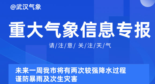 2025新澳精准资料免费提供,探索未来之门，关于新澳精准资料的免费提供与深度解析（2025展望）