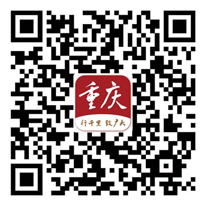 2025澳门天天开好彩大全app,关于澳门彩票应用程序的警示，警惕非法赌博软件的风险