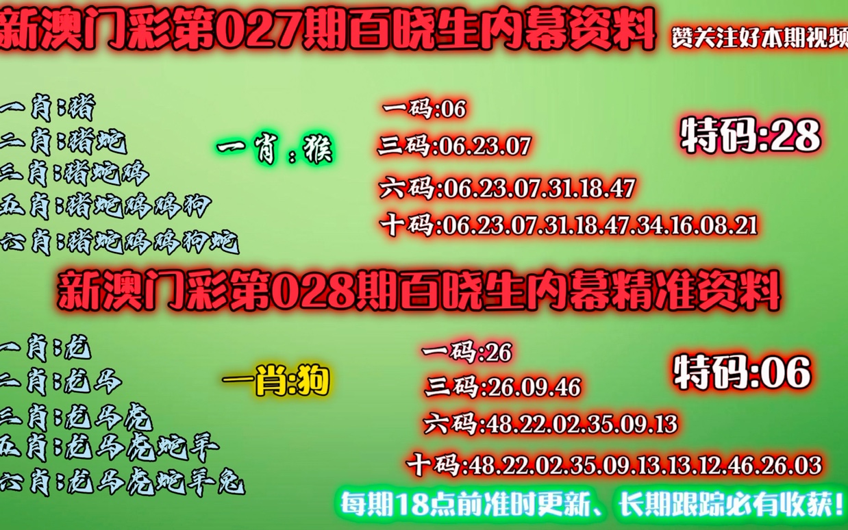 澳门一肖一码一一子,澳门一肖一码一一子的神秘魅力与探索