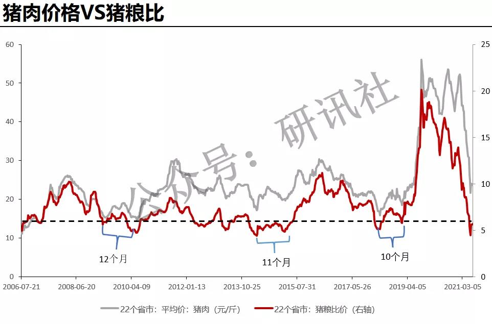 2025新奥今晚开奖号码,关于新奥今晚开奖号码的探讨与预测