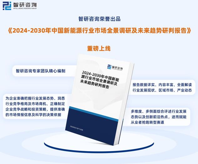 2025年新奥正版资料,探索未来之路，2025年新奥正版资料深度解析